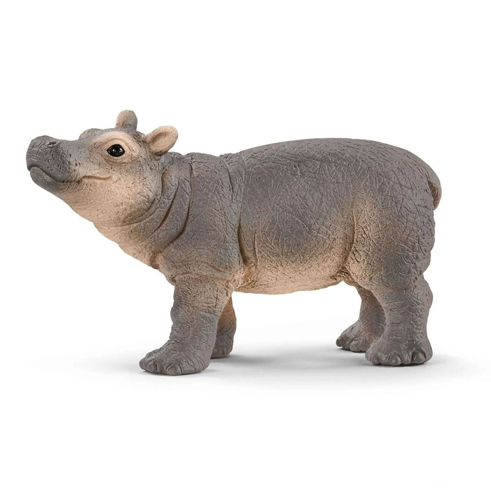Schleich - Baby Hippopotamus