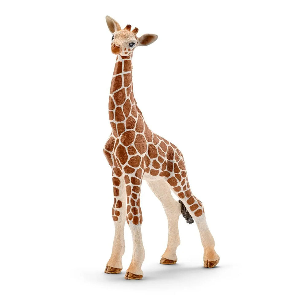 Schleich - Giraffe Calf