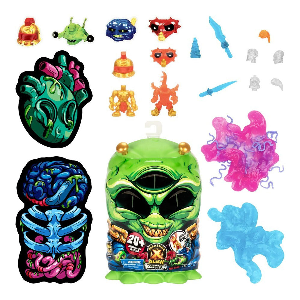 Treasure X S2 Mini Dissection