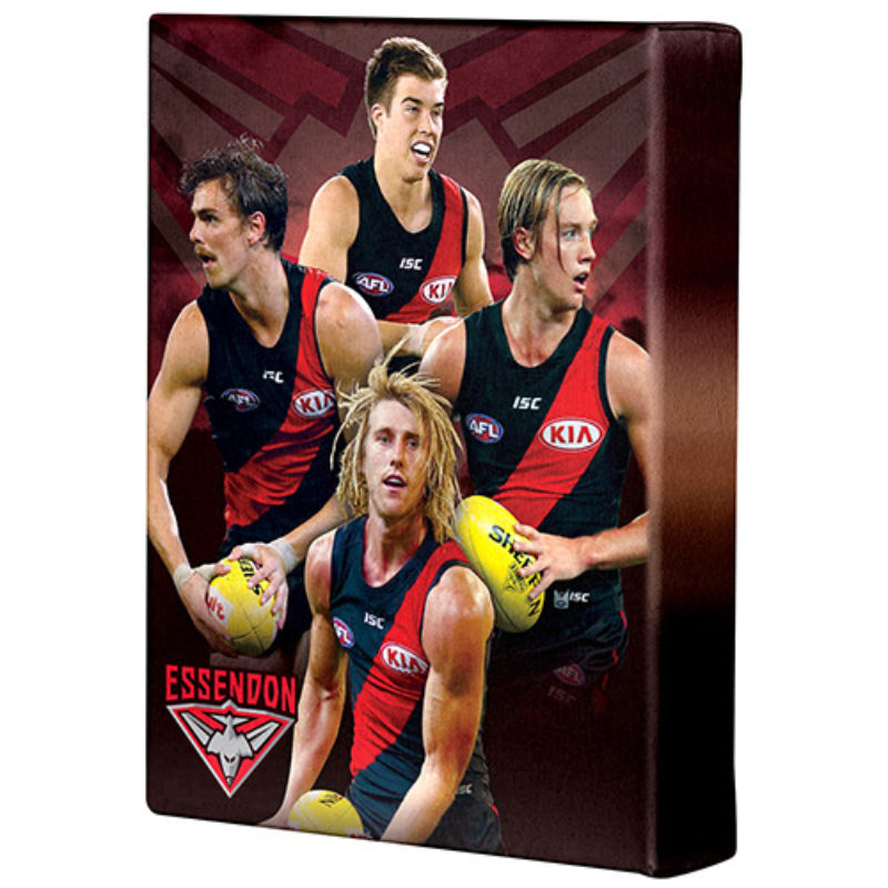 AFL PLAYER CANVAS ESSENDON BOMBERS