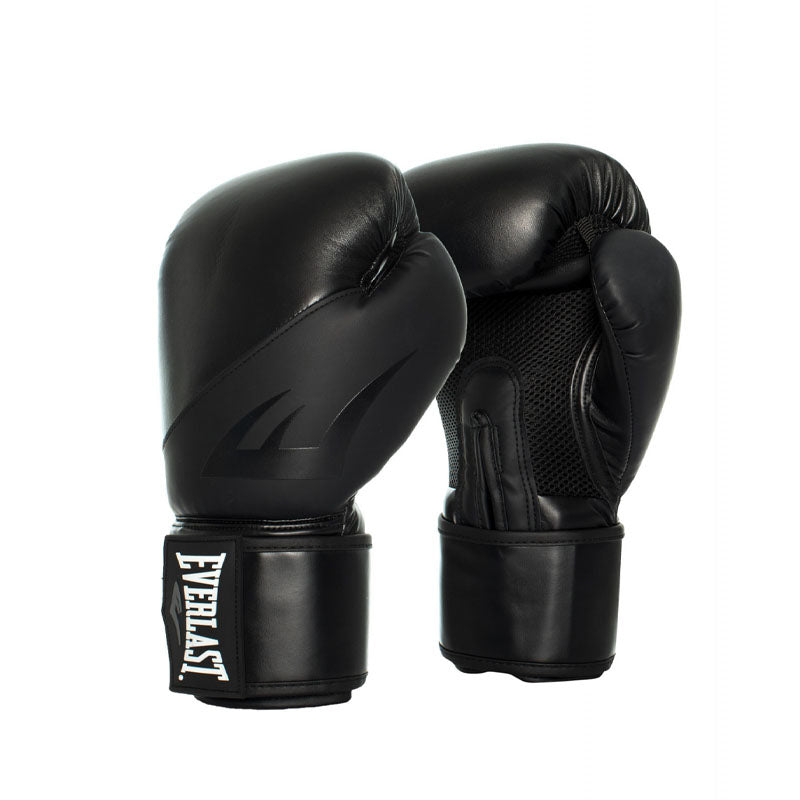Everlast Ex Boxing Glove
