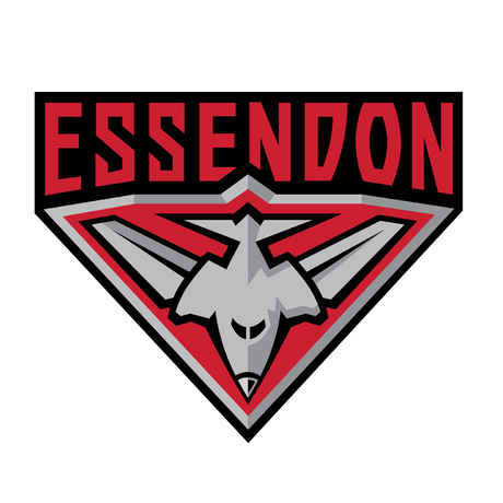 AFL Essendon Bombers