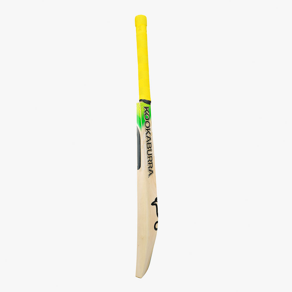 Kookaburra Pro 8.1 Cricket Harrow Adult Bat