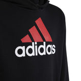 Adidas Kids Essential Two-Coloured Big Logo Hoodie