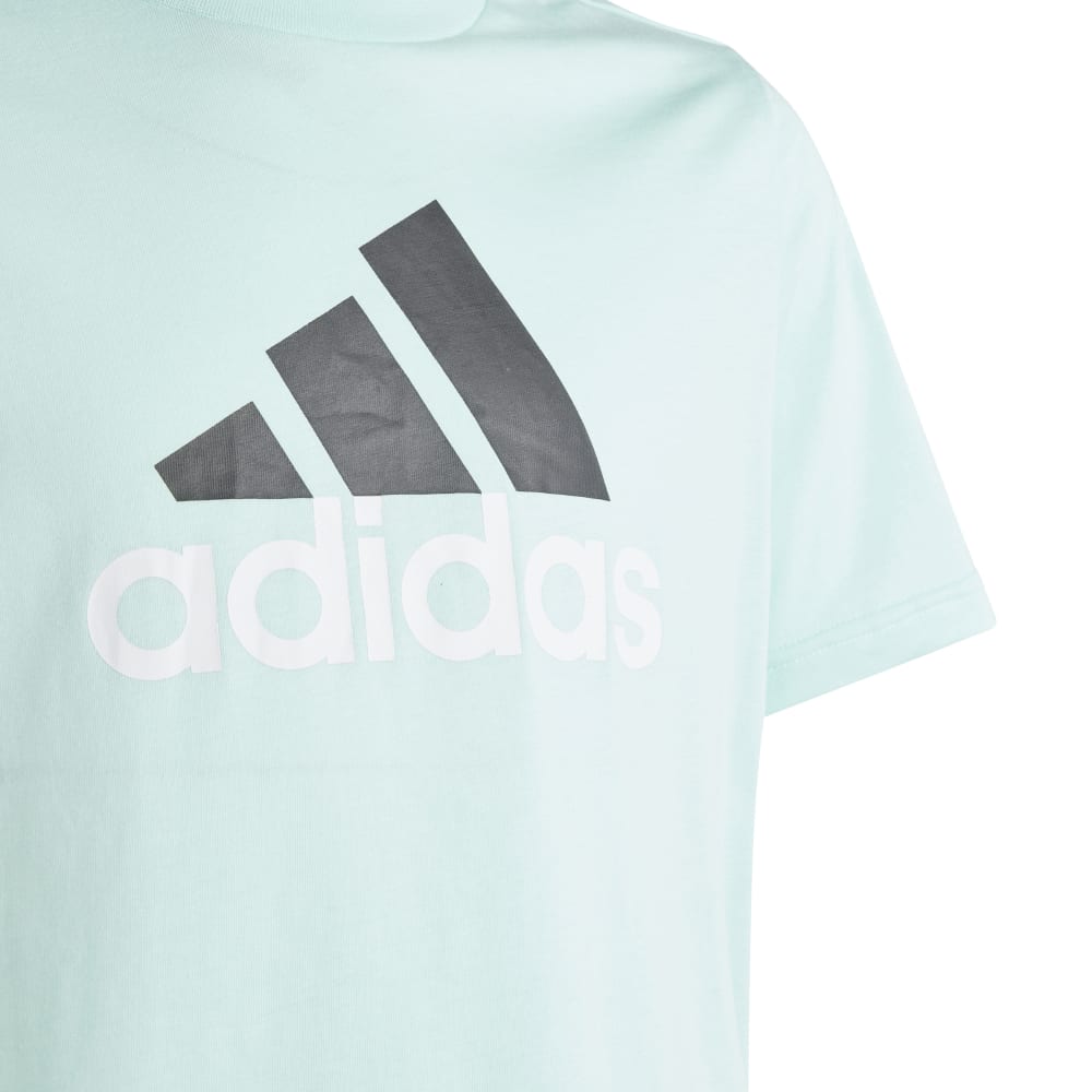 Adidas Kids Big Logo 2 Tee