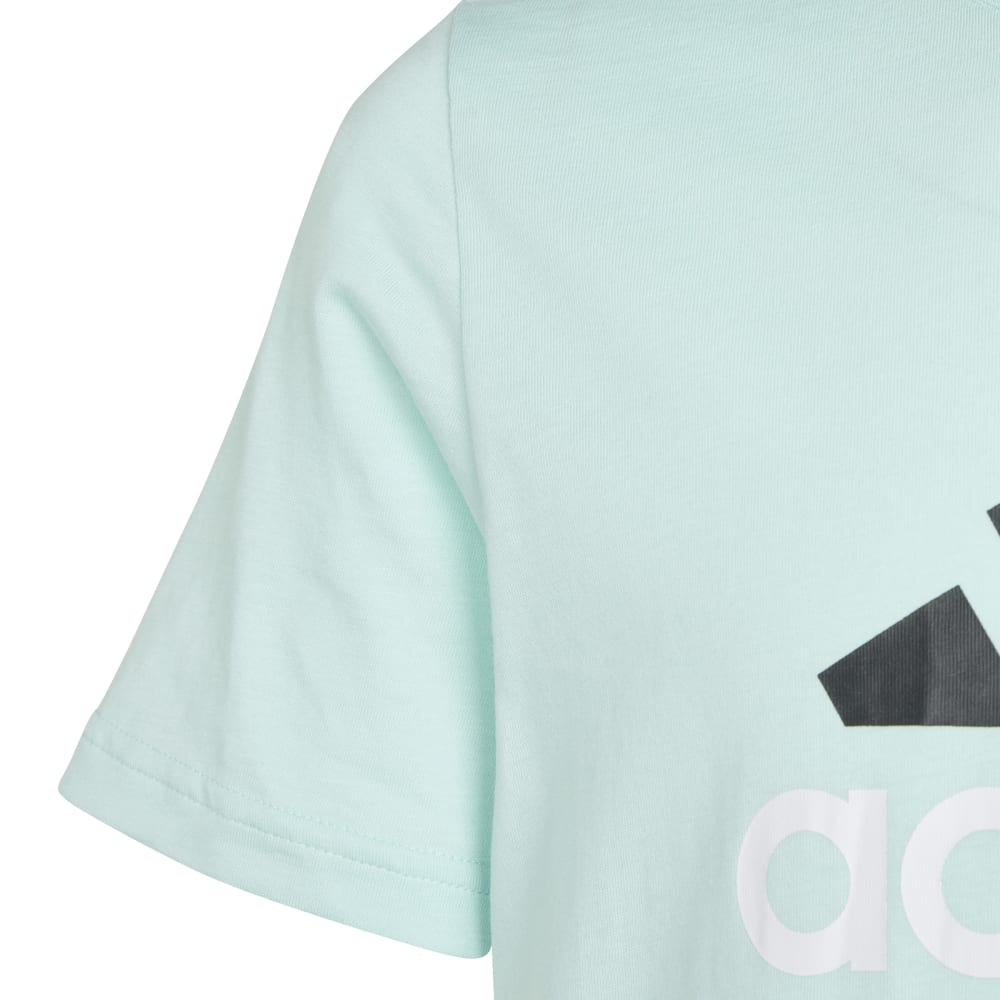 Adidas Kids Big Logo 2 Tee