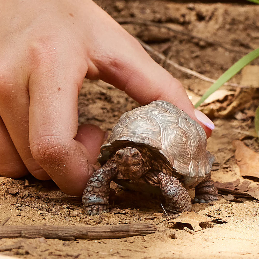 Schleich - Giant Tortoise