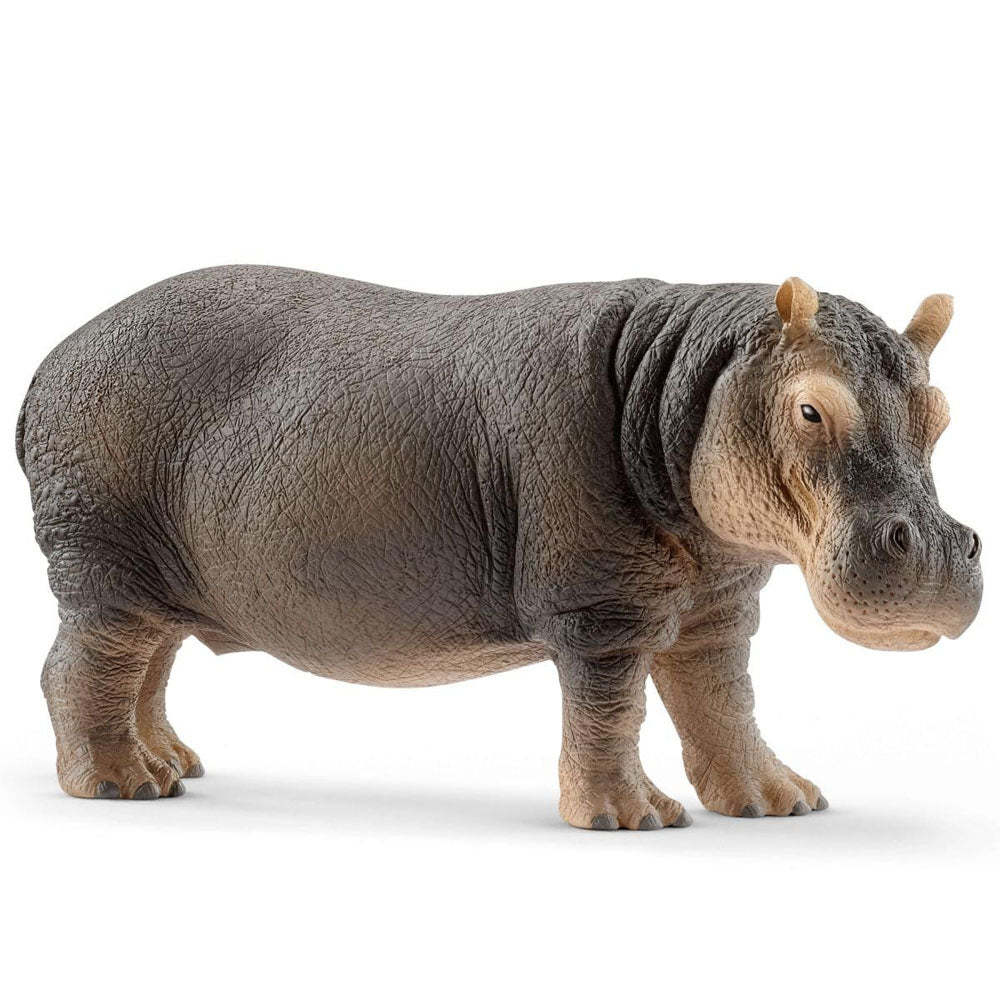 Schleich - Hippopotamus