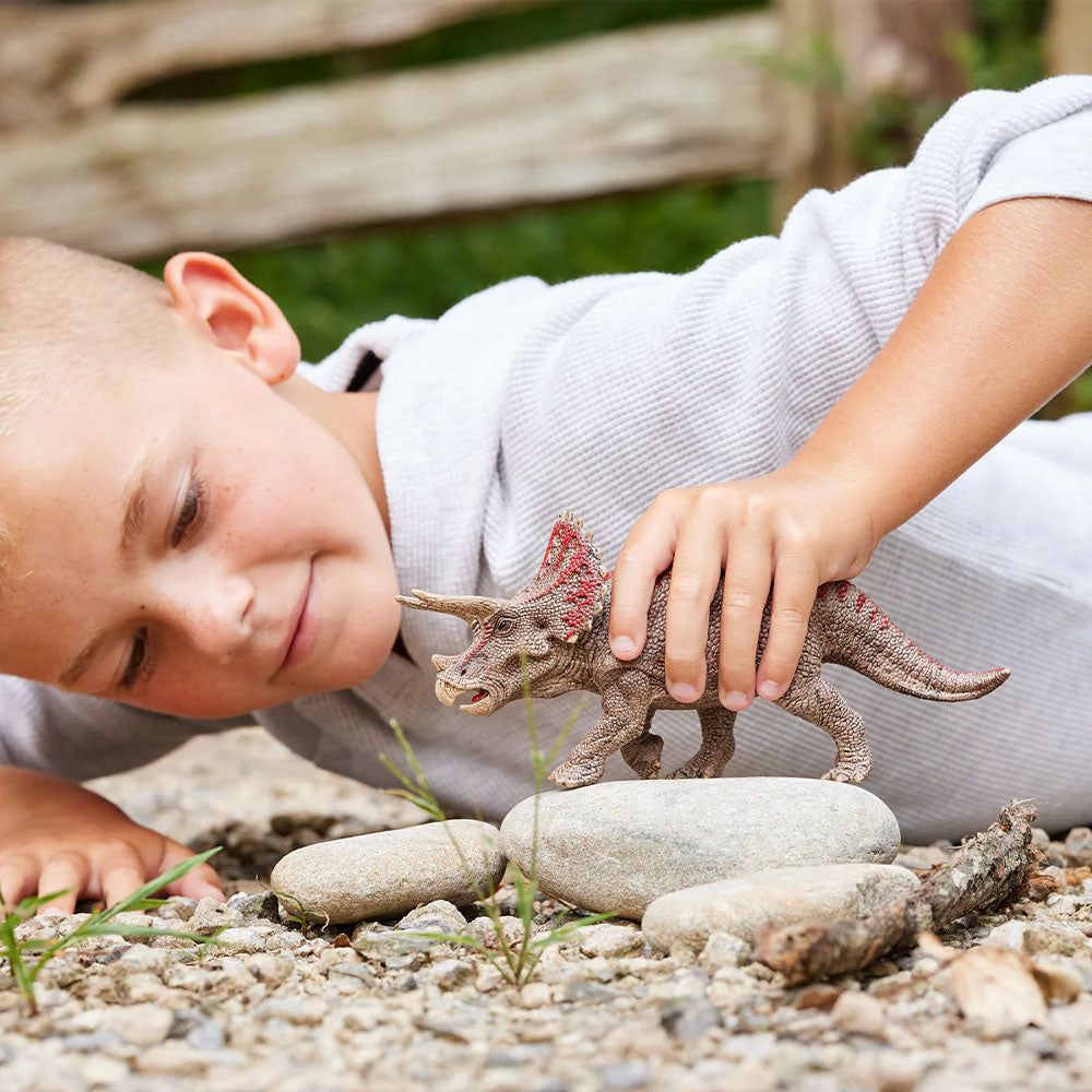 Schleich - Triceratops