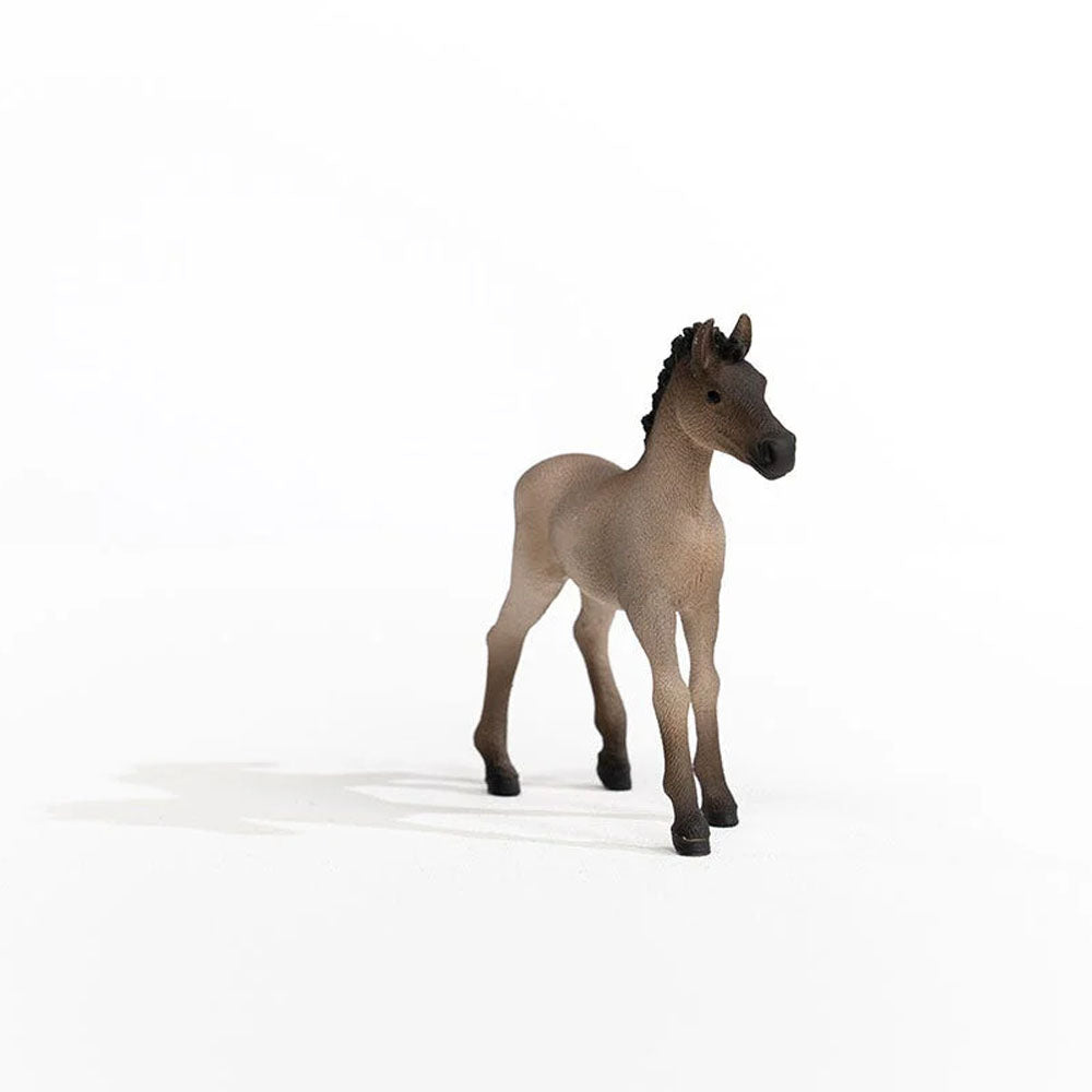 Schleich - Criollo Definitivo Foal