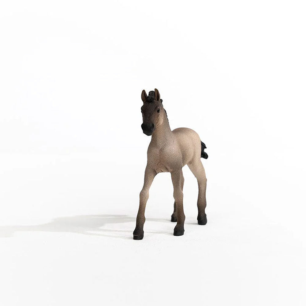 Schleich - Criollo Definitivo Foal