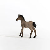 Schleich - Criollo Definitivo Foal