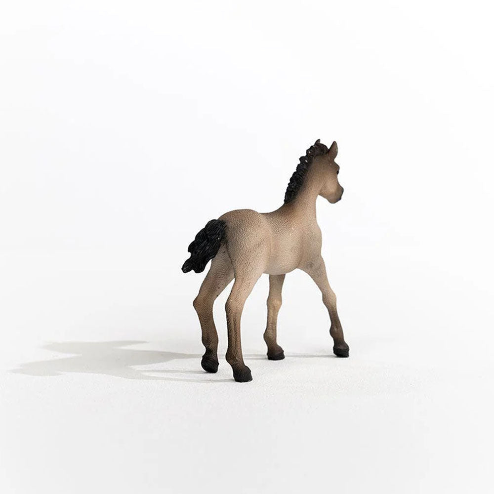 Schleich - Criollo Definitivo Foal