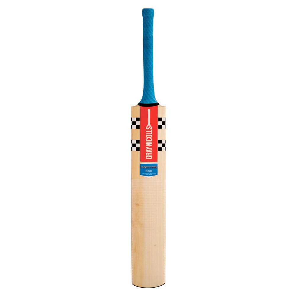 Gray-Nicolls Arctos 650 Play Now Cricket Bat