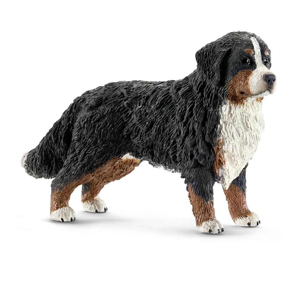 Schleich - Bernese Mountain Dog Female