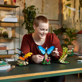 LEGO Ideas The Insect Collection 21342