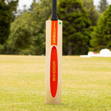 Gray Nicolls Scoop 50th Anniversary Extra Special Bat