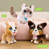 FurReal Wag-A-Lots Kitty