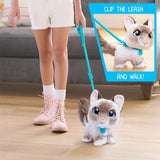 FurReal Wag-A-Lots Kitty
