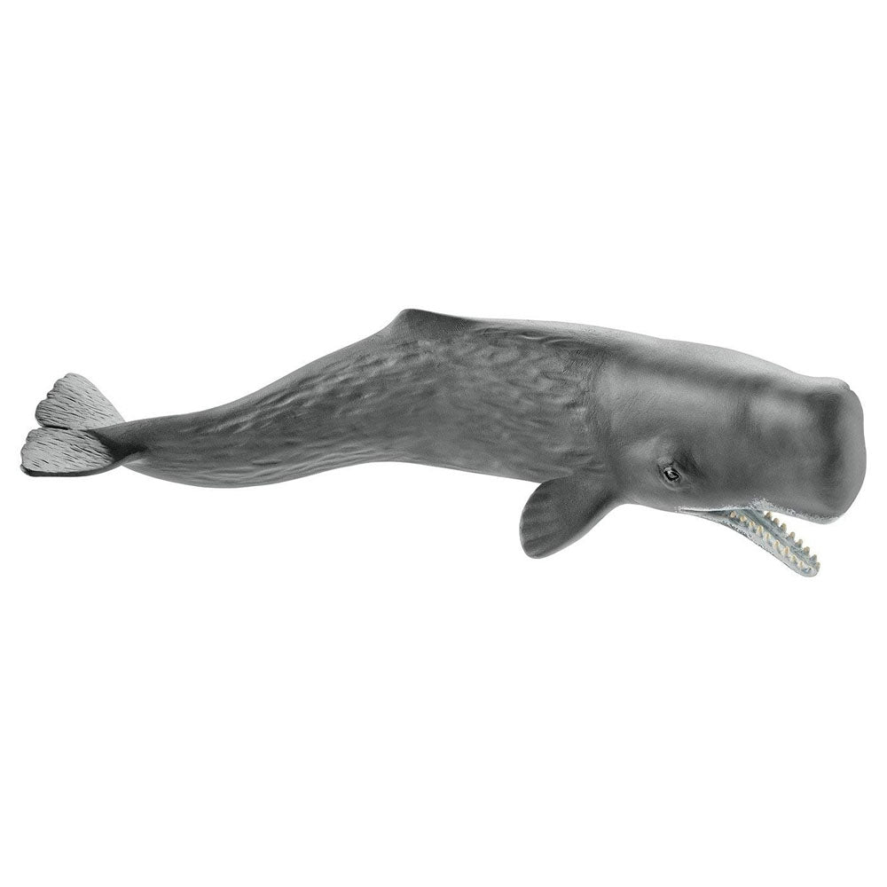 Schleich - Sperm Whale