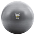 Everlast Core Strength Ball - 75cm