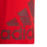 Adidas Boys Big Logo Tee