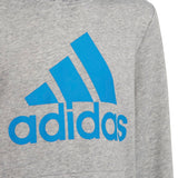 Adidas Boys Big Logo Hoodie