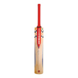 Gray Nicolls Select Bespoke Cricket Bat