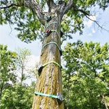 Slackers Tree Climbers